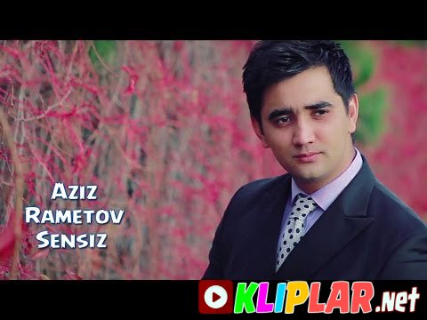 Aziz Rametov - Sensiz