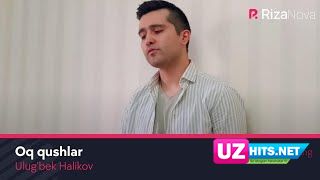 Ulug'bek Halikov - Oq qushlar (Klip HD)
