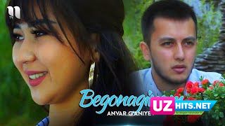 Anvar G'aniyev - Begonaginam (Klip HD)